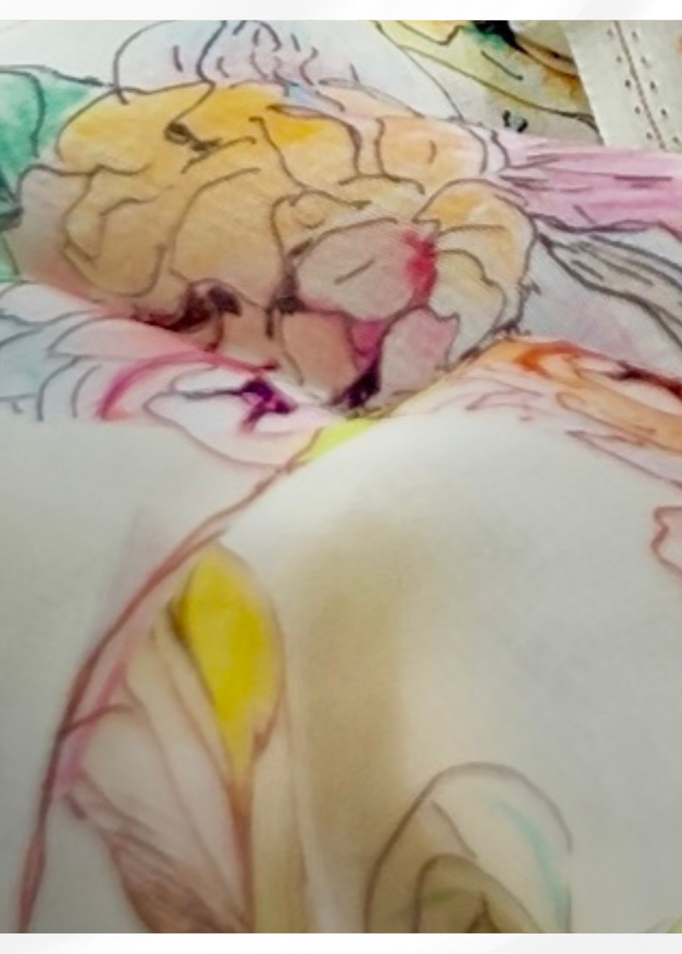 FLORAL PRINT PURE GEORGETTE